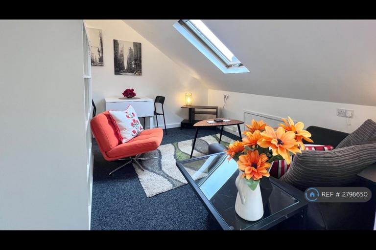 1 bedroom flat in Stafford Road, Sheffield, S2 (1 bed) (#2798650)