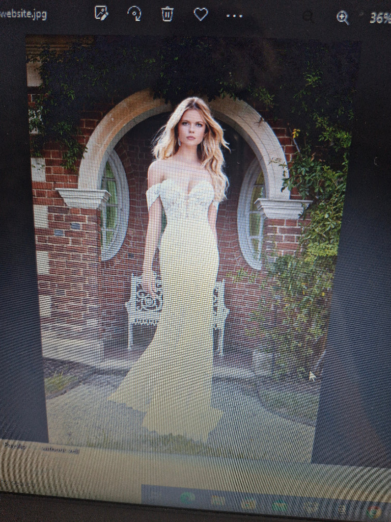 Unworn & Unaltered Wedding Dress and Veil was £2,000