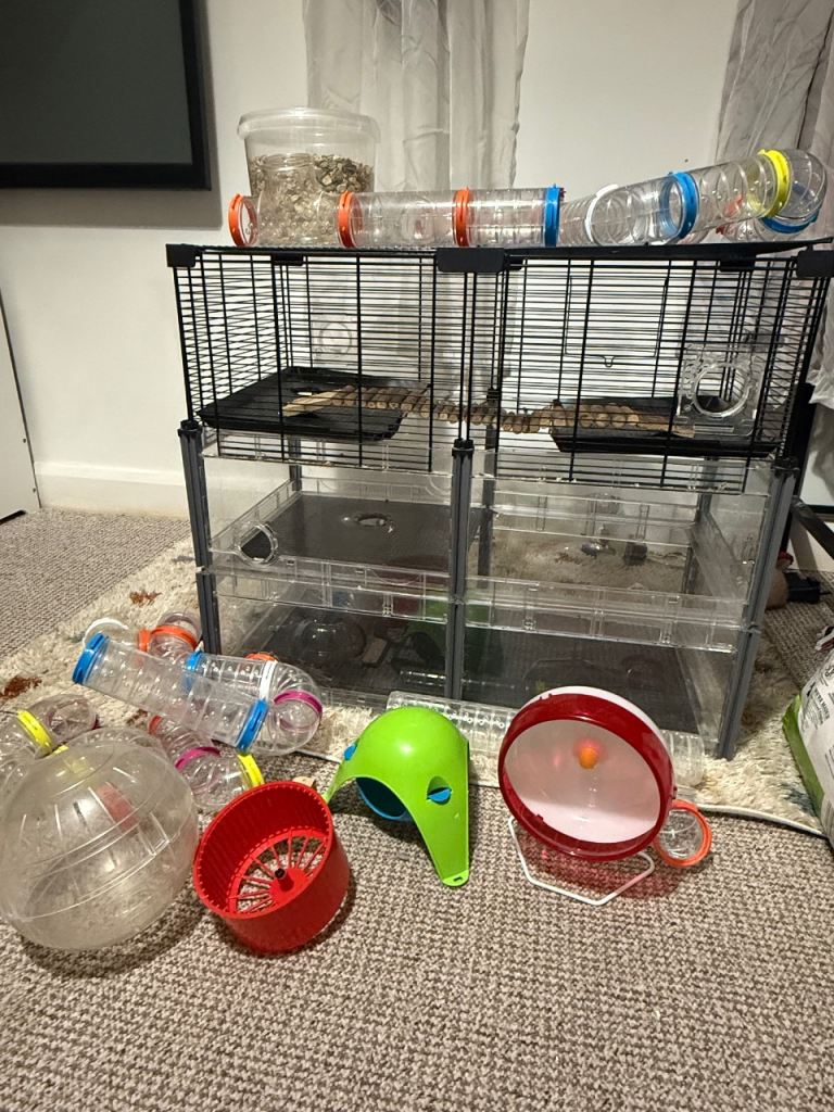 Large Hamster cage and accessories 