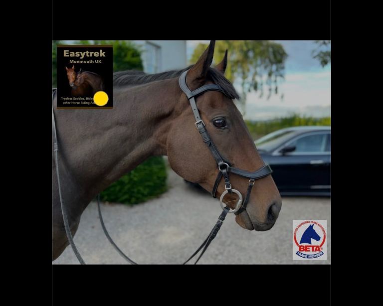  Easy Trek Anatomical Bitted Leather Bridle with Deluxe Gripper Reins- Full