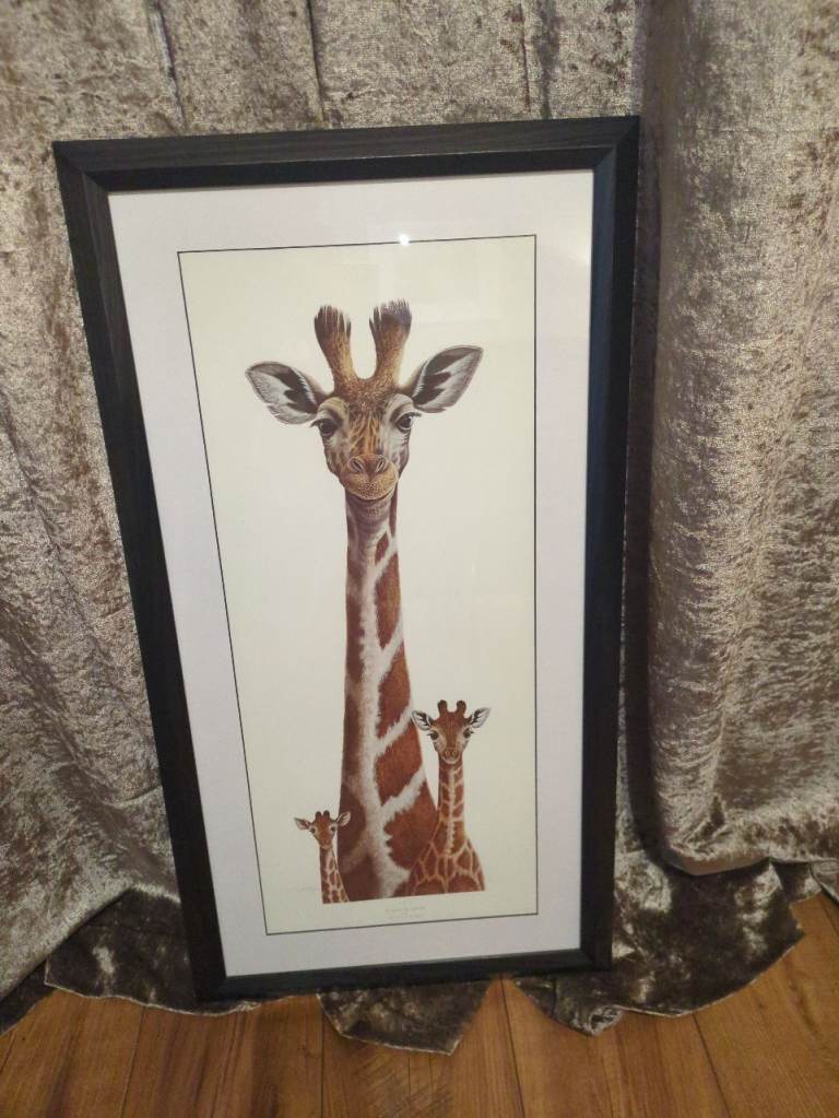 FREE Framed giraffe print 