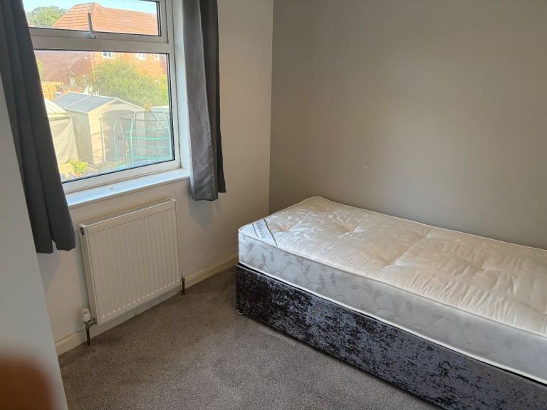 Single room available to let