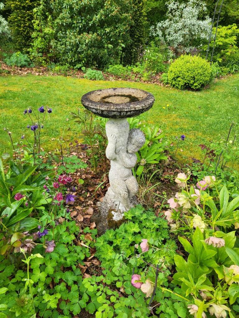 Bird bath garden ornament 