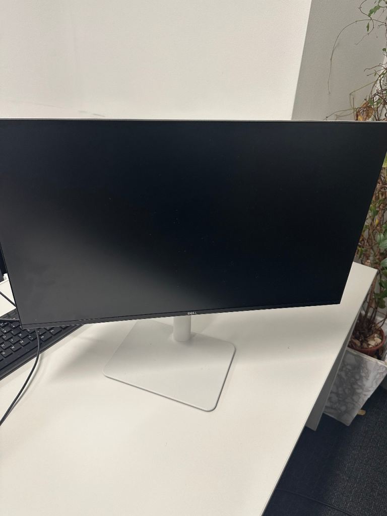 Dell 24 Monitor - S2425HS