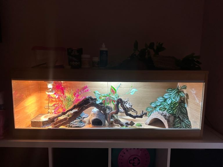 Reptile vivarium