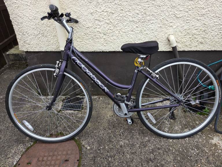 Purple ladies backridge bike