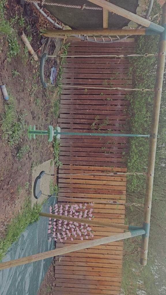 Swing set