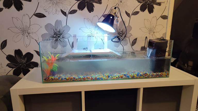 Fish tank 
