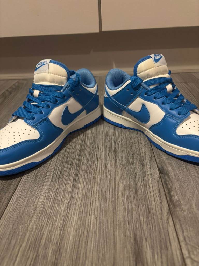 Blue/ White Nike Dunks Size 5.5