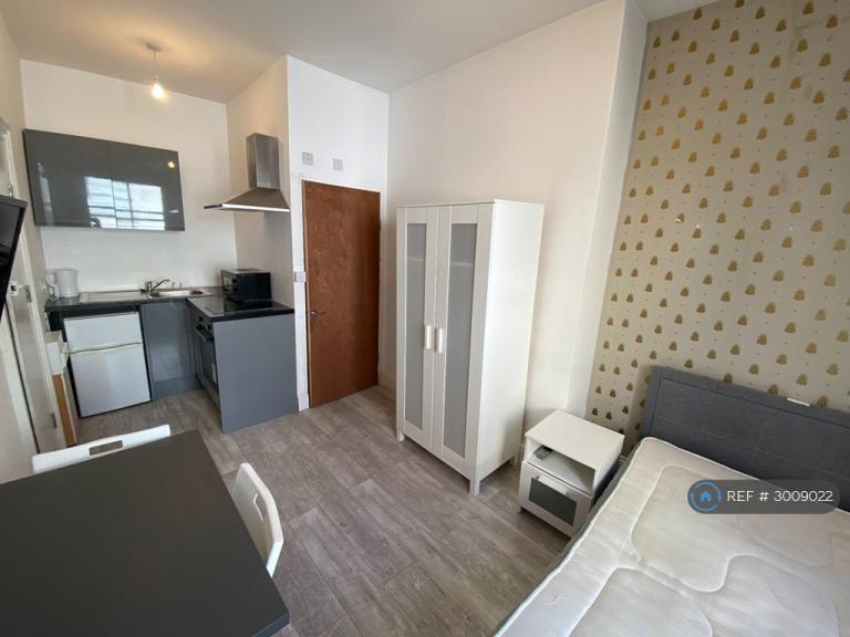 Studio flat in Bedford Place, Brighton, BN1 (#3009022)