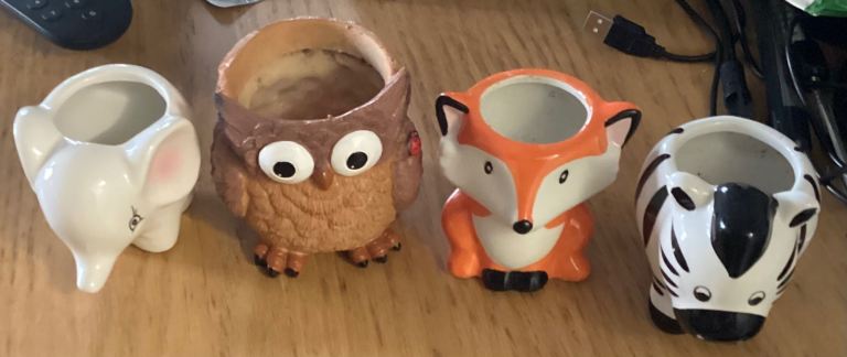 4 animal cactus or succulent pots