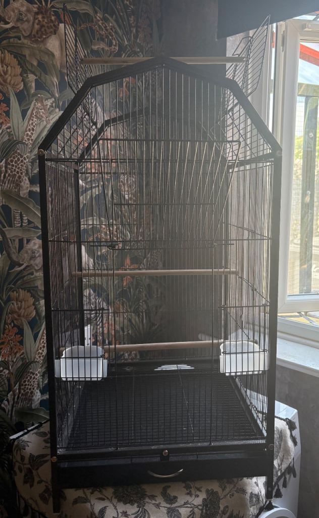 Bird Cage