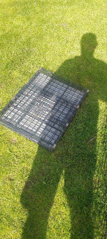 Dog crate