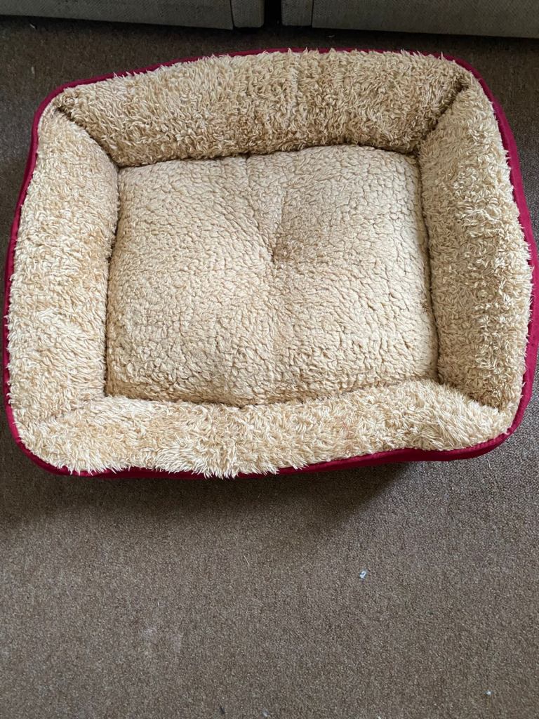 Dog bed - hardly used 