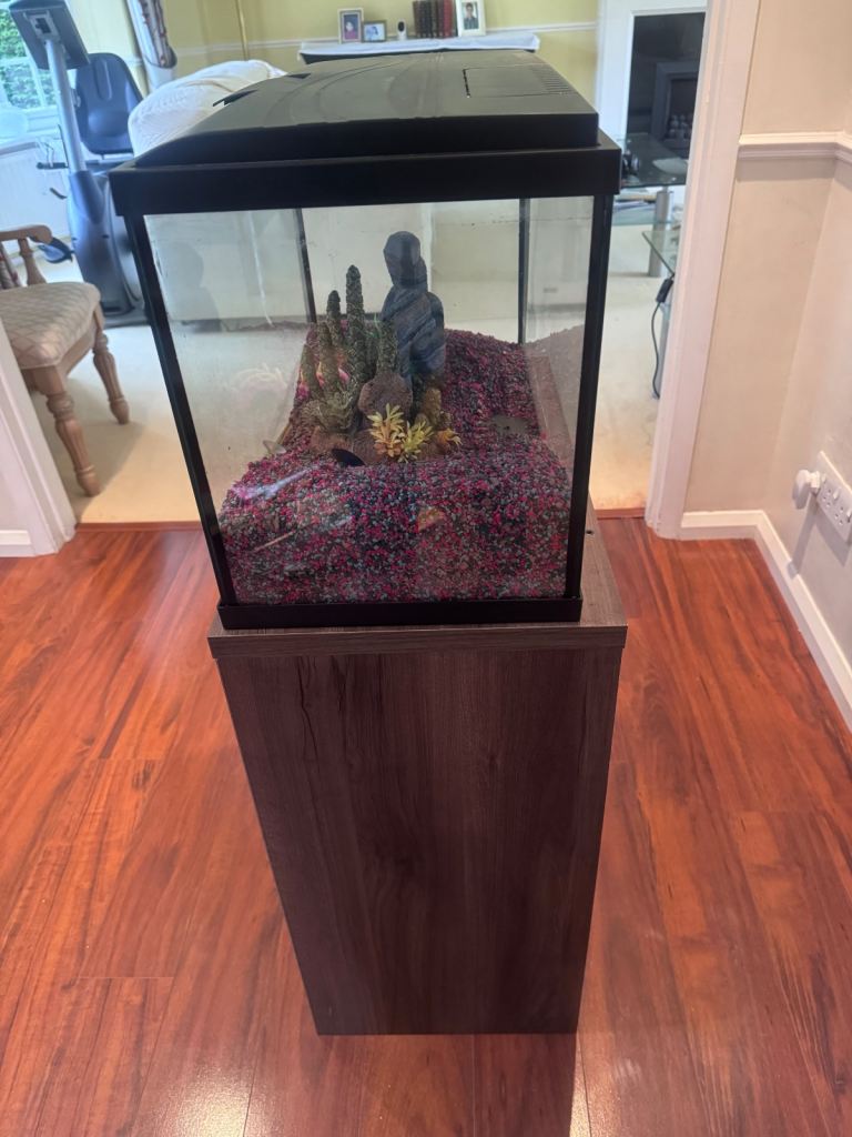 Fish tank and cabinet stand 