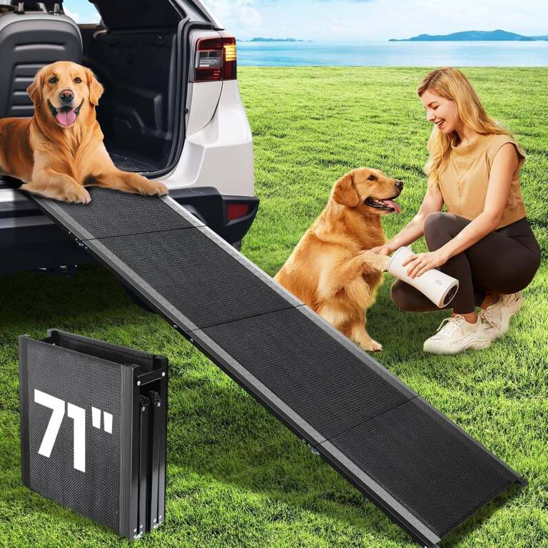 Dog ramp STILL FOR SALE 13th JAN