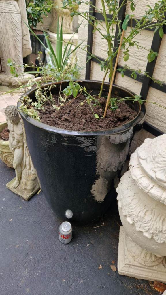 Huge Japanese salt glazed ceramic garden plant pot  