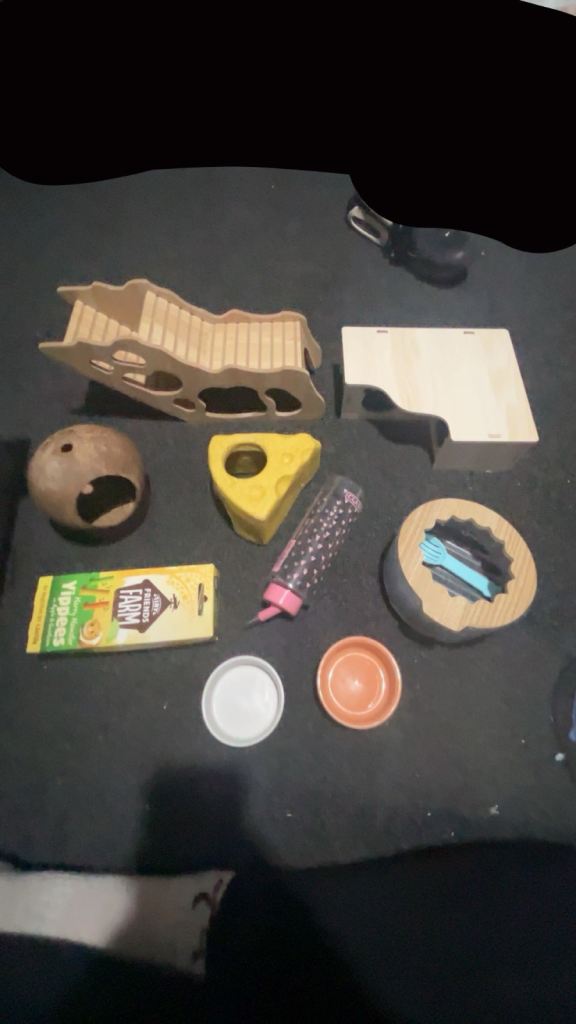 Hamster/rat stuff