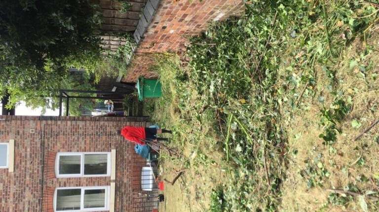 🌿 Professional Gardening & Landscaping Services – Affordable & Reliable 🌿