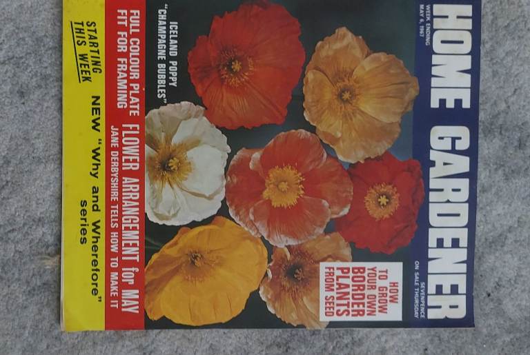 Home Gardener Magazine – Iceland Poppy Cover, May 1987