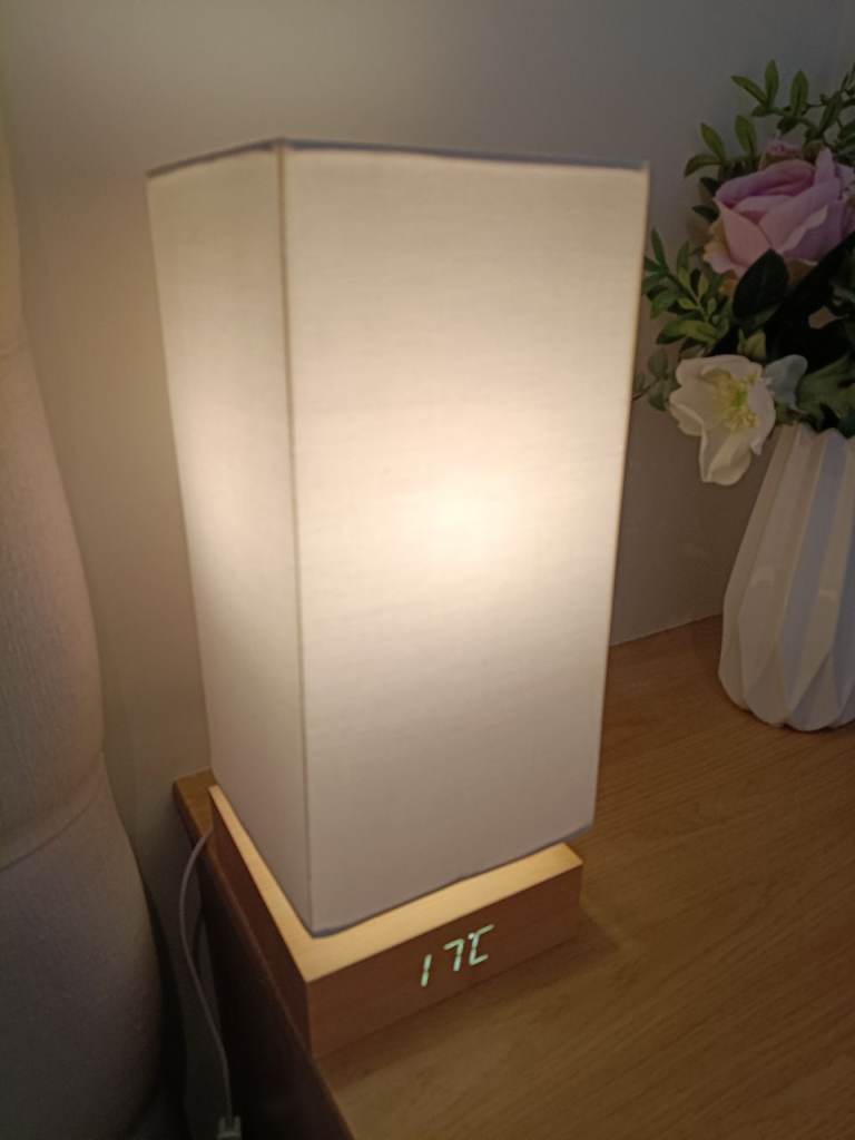 Gingko lamp/lamps