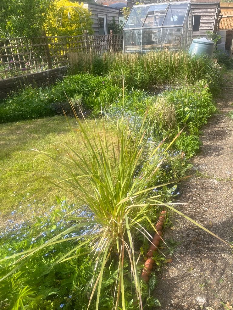 Greenhouse – Needs a new home! FREE