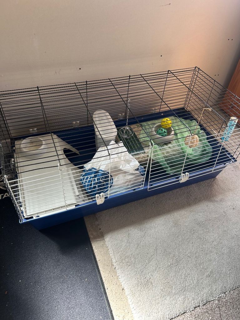 Rabbit / Guinea pig crate with lots of extras 