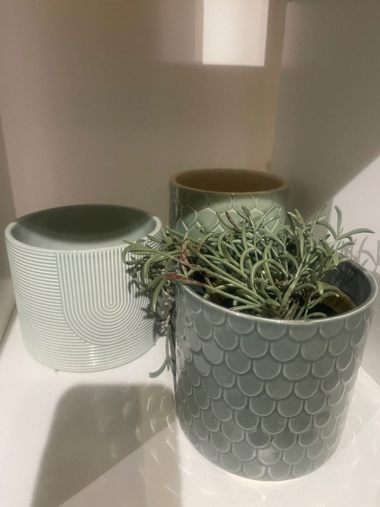 Set of 3 Decorative Ceramic Plant Pots – Sage Green | Very Good Condition