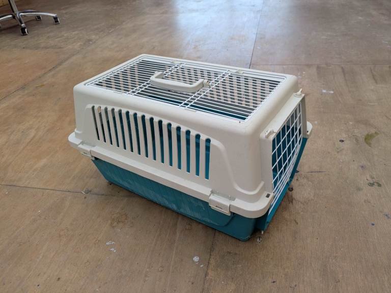 Cat Basket. For carrying a cat!