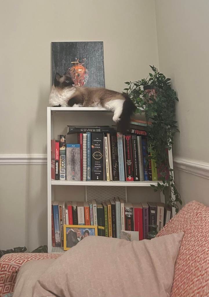  Unopened IKEA Baggebo Shelving Unit