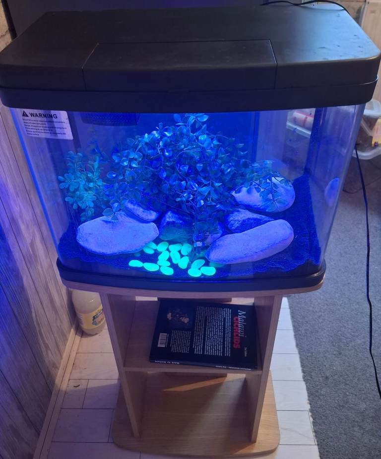 Love fish panorama  40 l fish tank