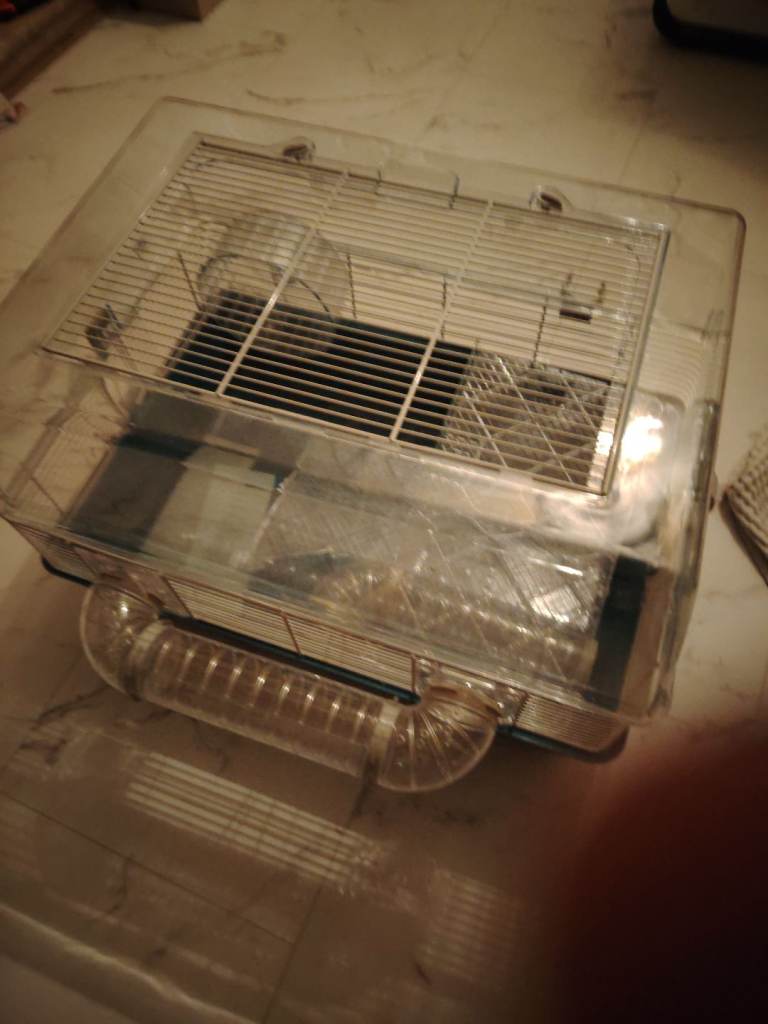 Hamster cage 