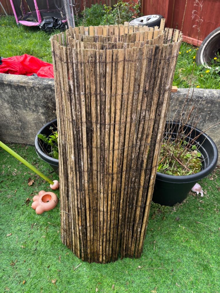 Roll of bamboo screening FREE