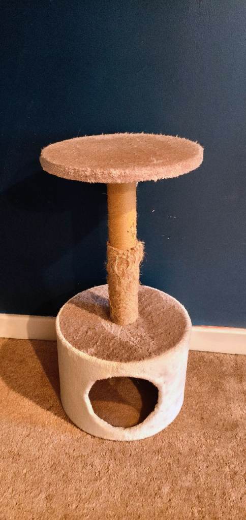 Cat Scratching Post