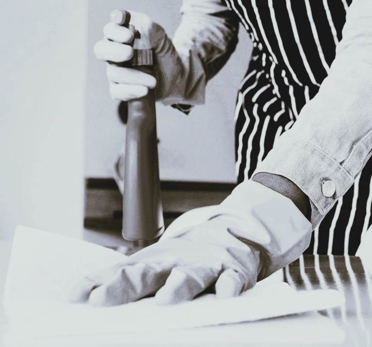 Domestic Cleaner Edinburgh Dalkeith Bonnyrigg Gorebridge Musselburgh Domestic Cleaning Service 