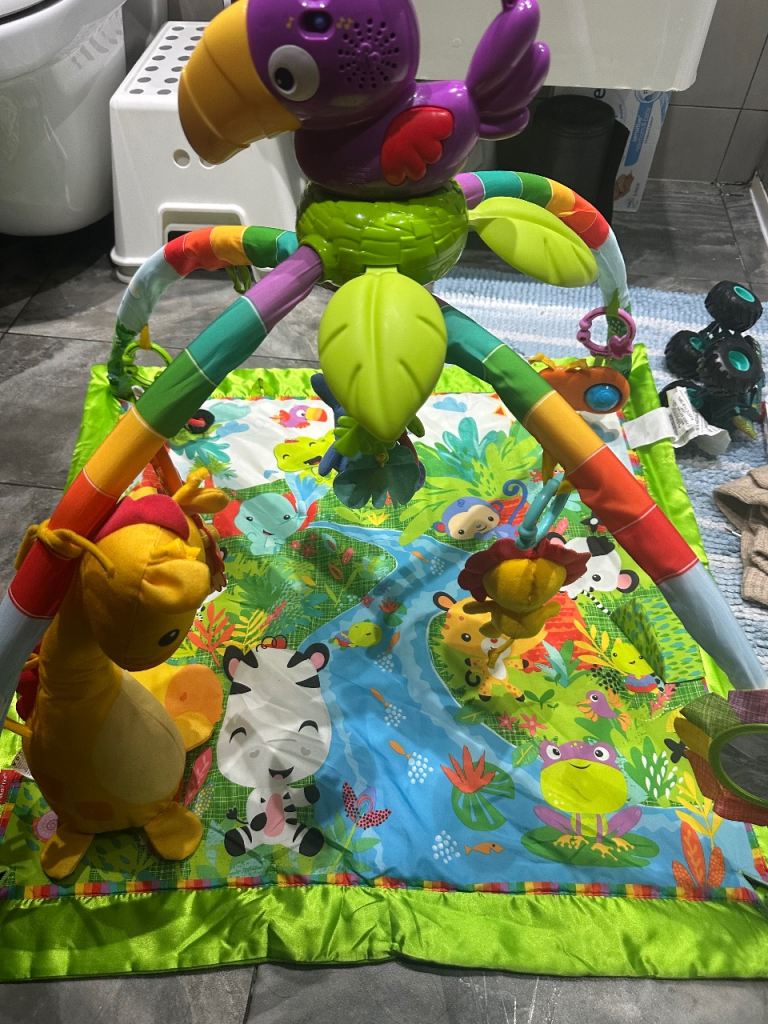 Fisher price play gym