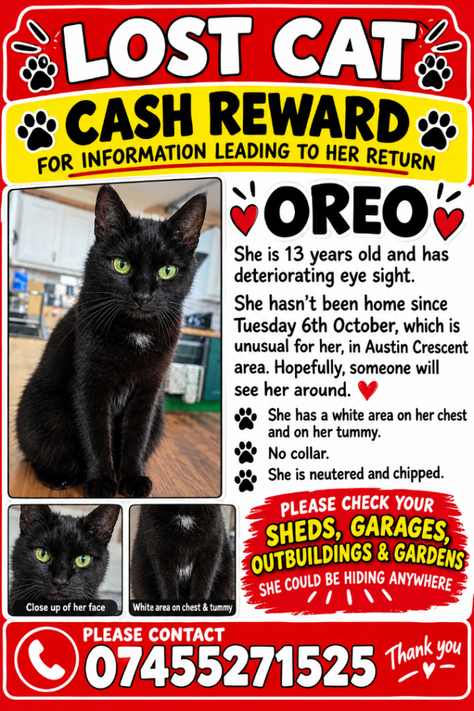 Missing cat - Oreo