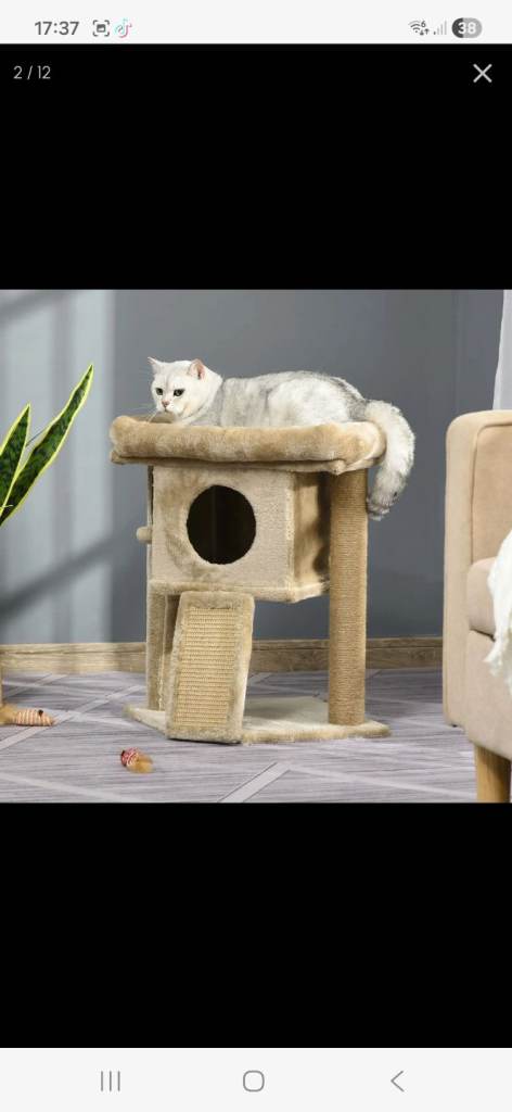 Cat tree/house 