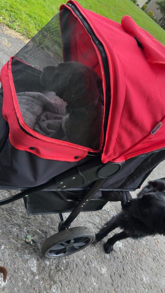 Dog pram