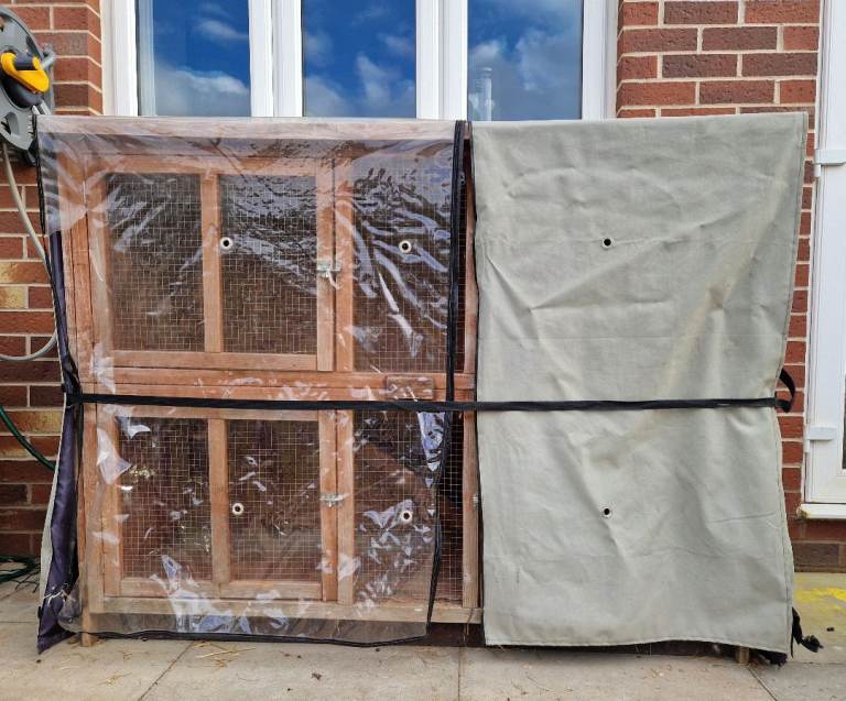 Bluebells Rabbit Hutch