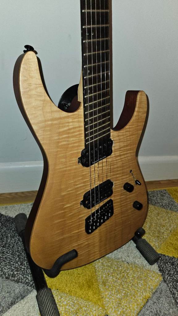 ESP LTD Deluxe MS1000 Electric Guitar with hardcase