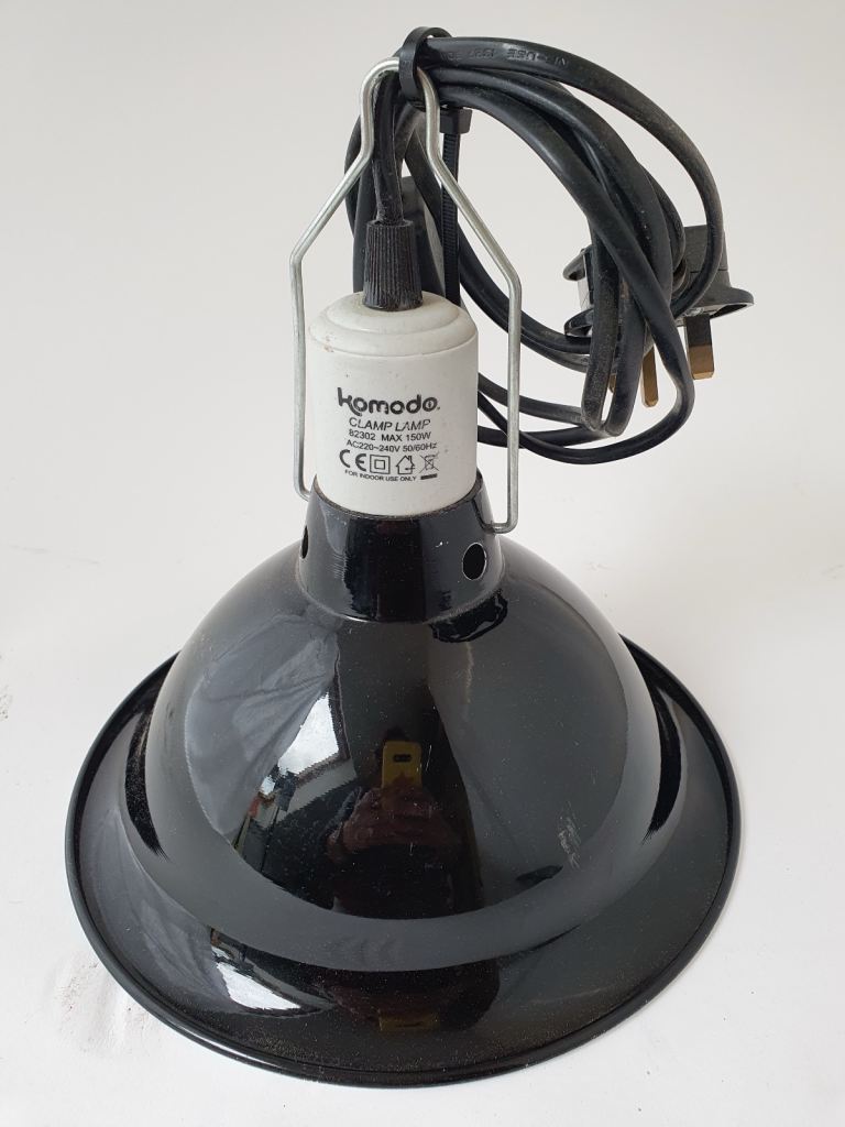 Reptile Lamp
