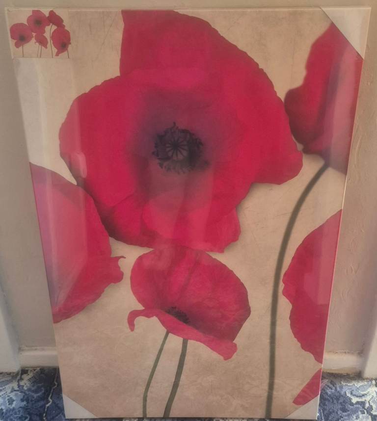 image for Poppy Canvas Picture 