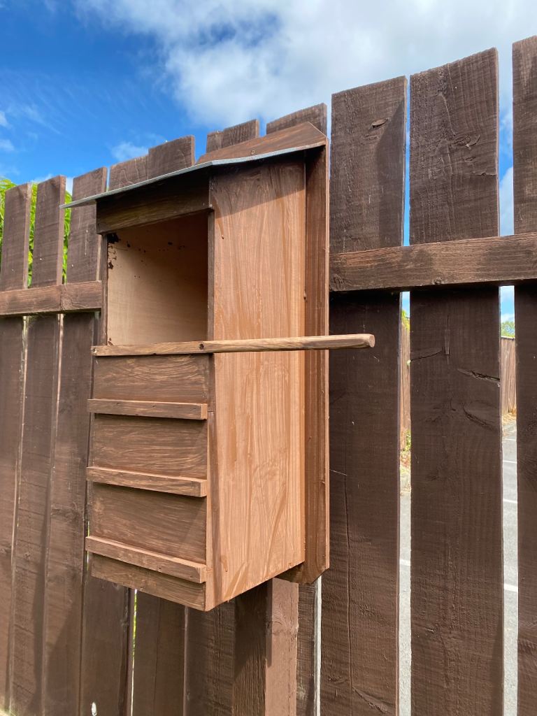Tawny owls nest box 