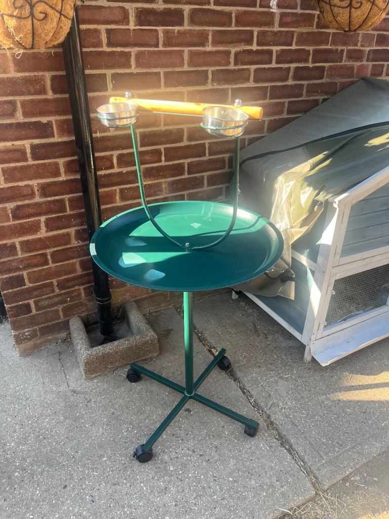 Bird stand 