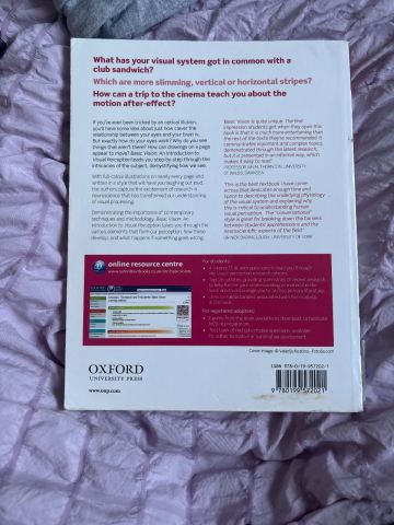 Basic Vision: An Introduction to Visual Perception – Revised