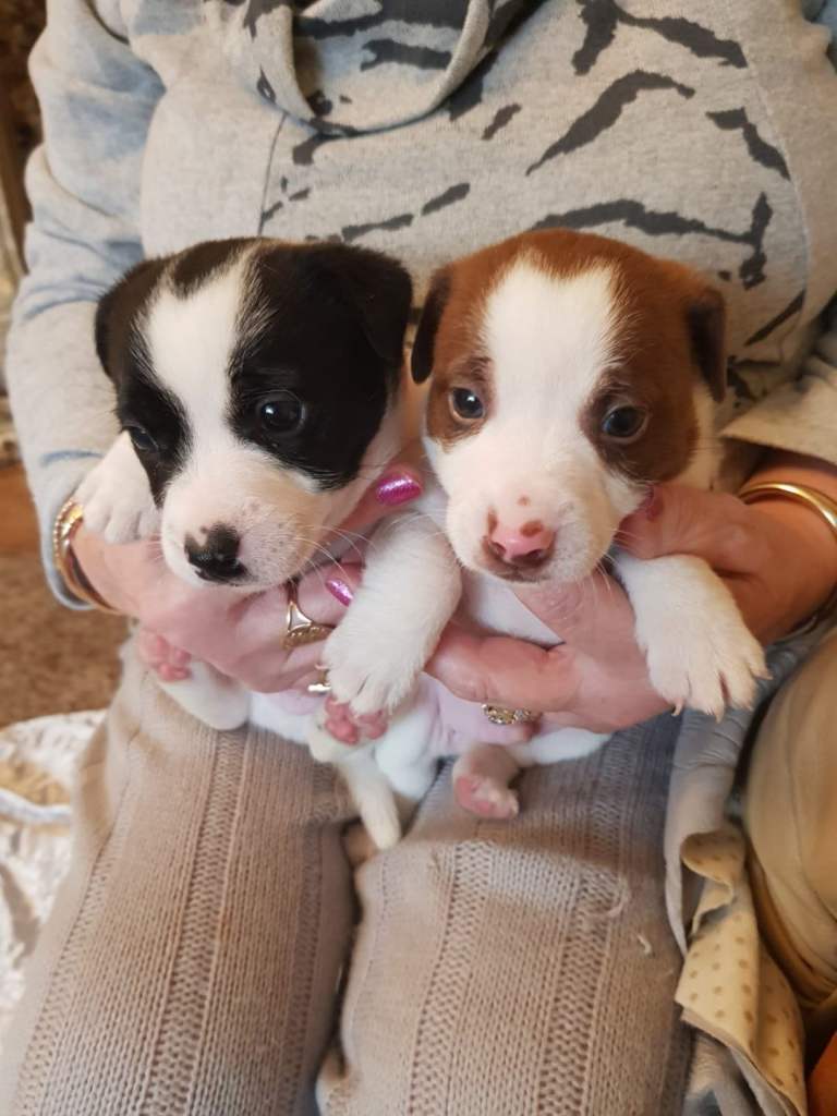 Be prepared To lose your toes ❤️ 