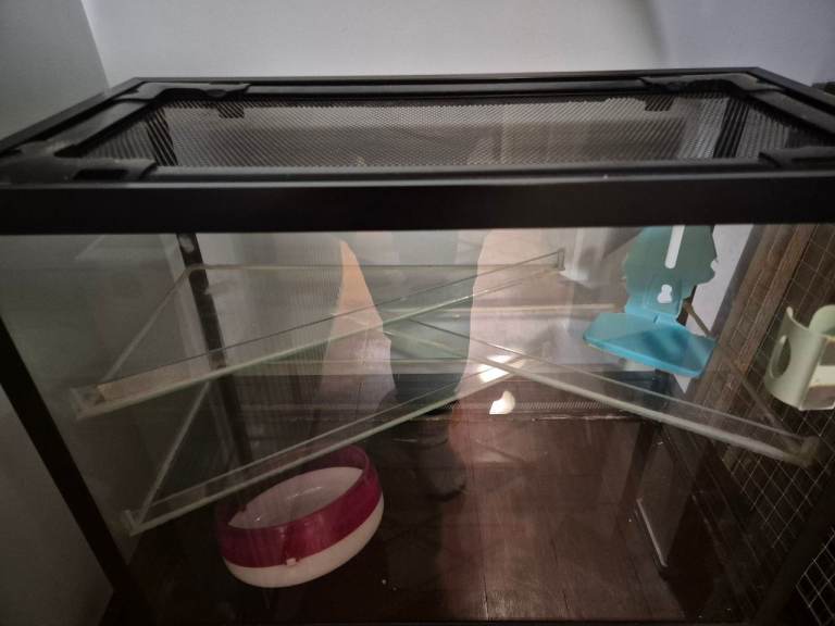 Critters Choice tank suitable for gerbils, hamsters and mice