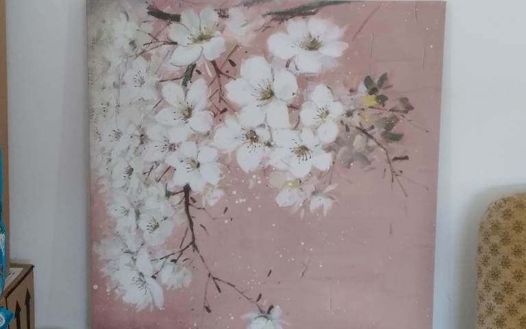 Lovely Floral Wall Art Canvas - Pink with White Flowers
