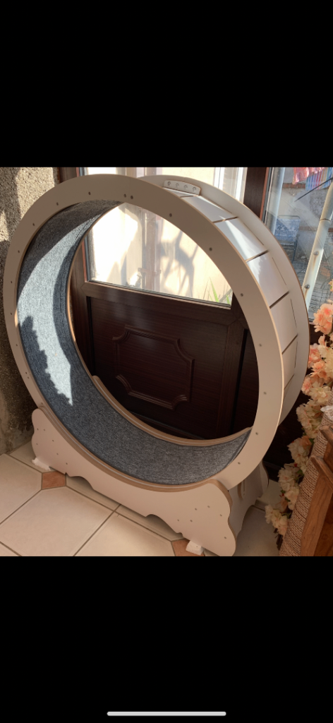 Large cat run wheel. Great condition. FREE DELIVERY 
